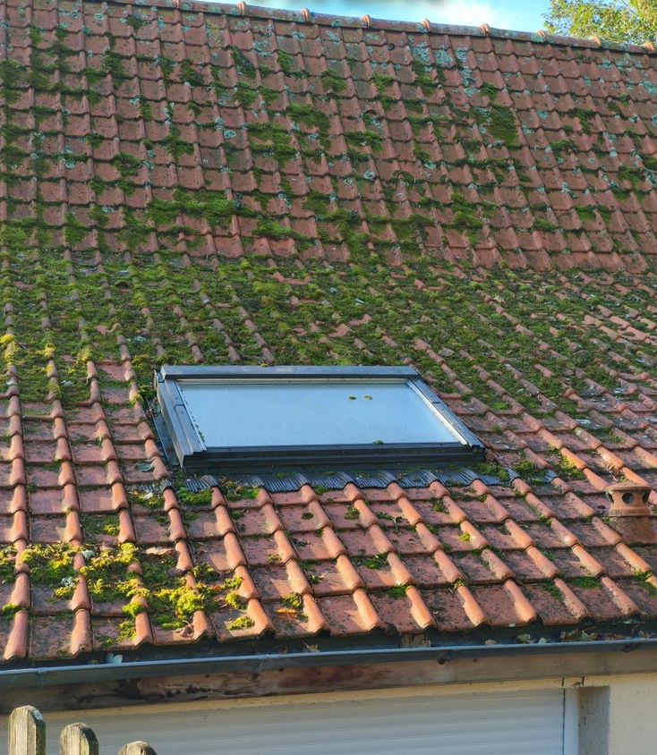 demoussage-nettoyageavant-1.jpg